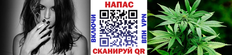Где купить Суздаль Alpha-PVP  АМФЕТАМИН  Марихуана  Кокаин  ГАШ 