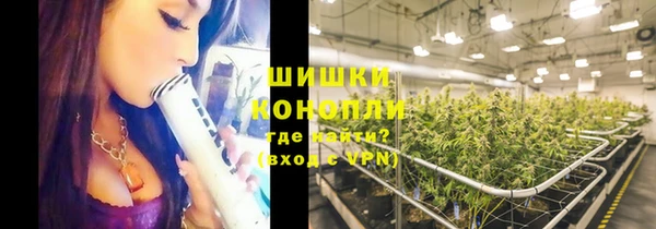 ГАЛЛЮЦИНОГЕННЫЕ ГРИБЫ Алексин