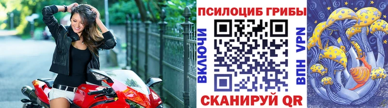 Псилоцибиновые грибы Psilocybe  OMG вход  Суздаль  наркота 