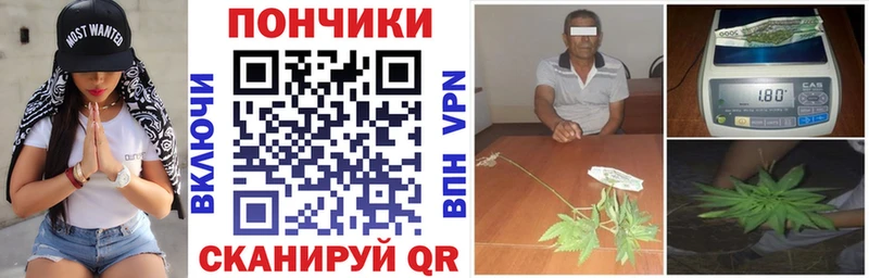сколько стоит  Суздаль  Шишки марихуана индика 